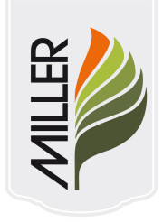 Blumen Miller GmbH