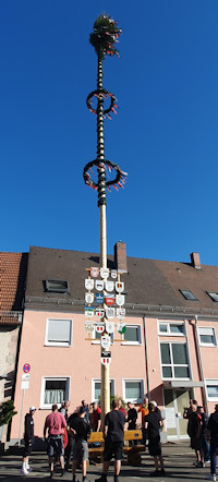 Maibaum 2026 Pfuhl